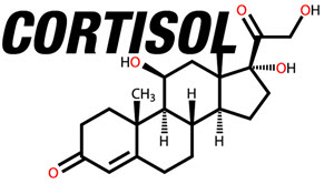 Cortisol