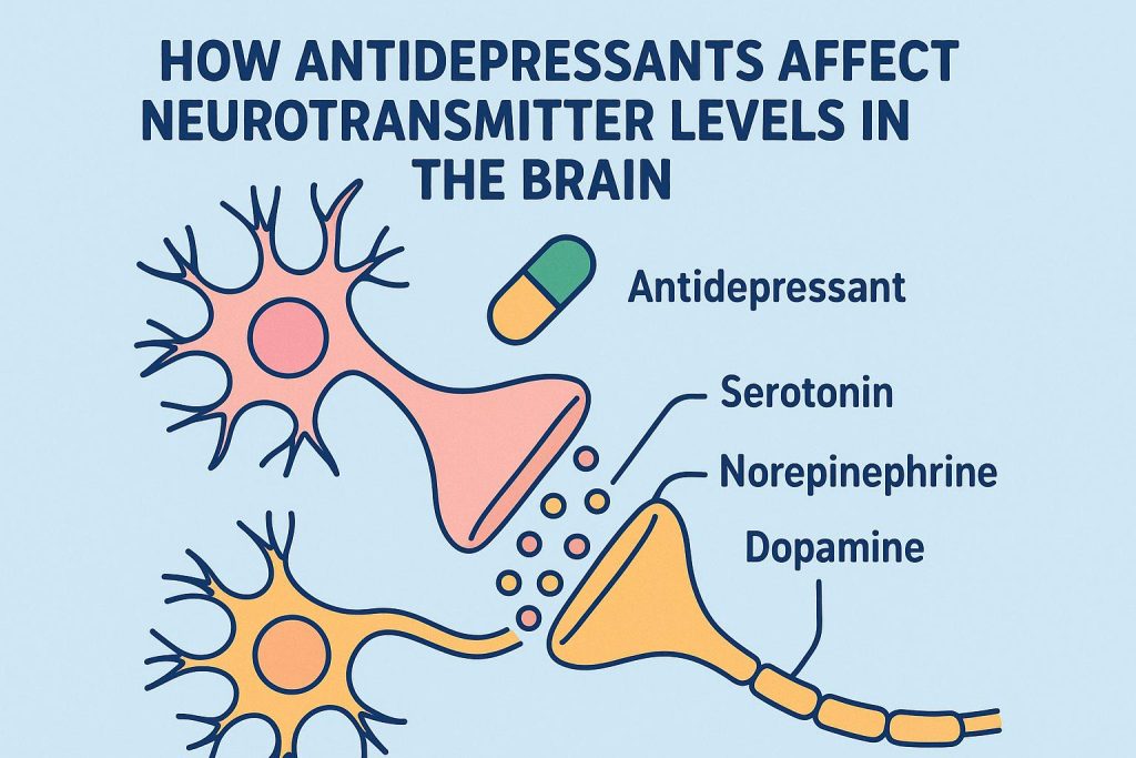 How antidepressants affect neurotransmitter levels in the brain.
