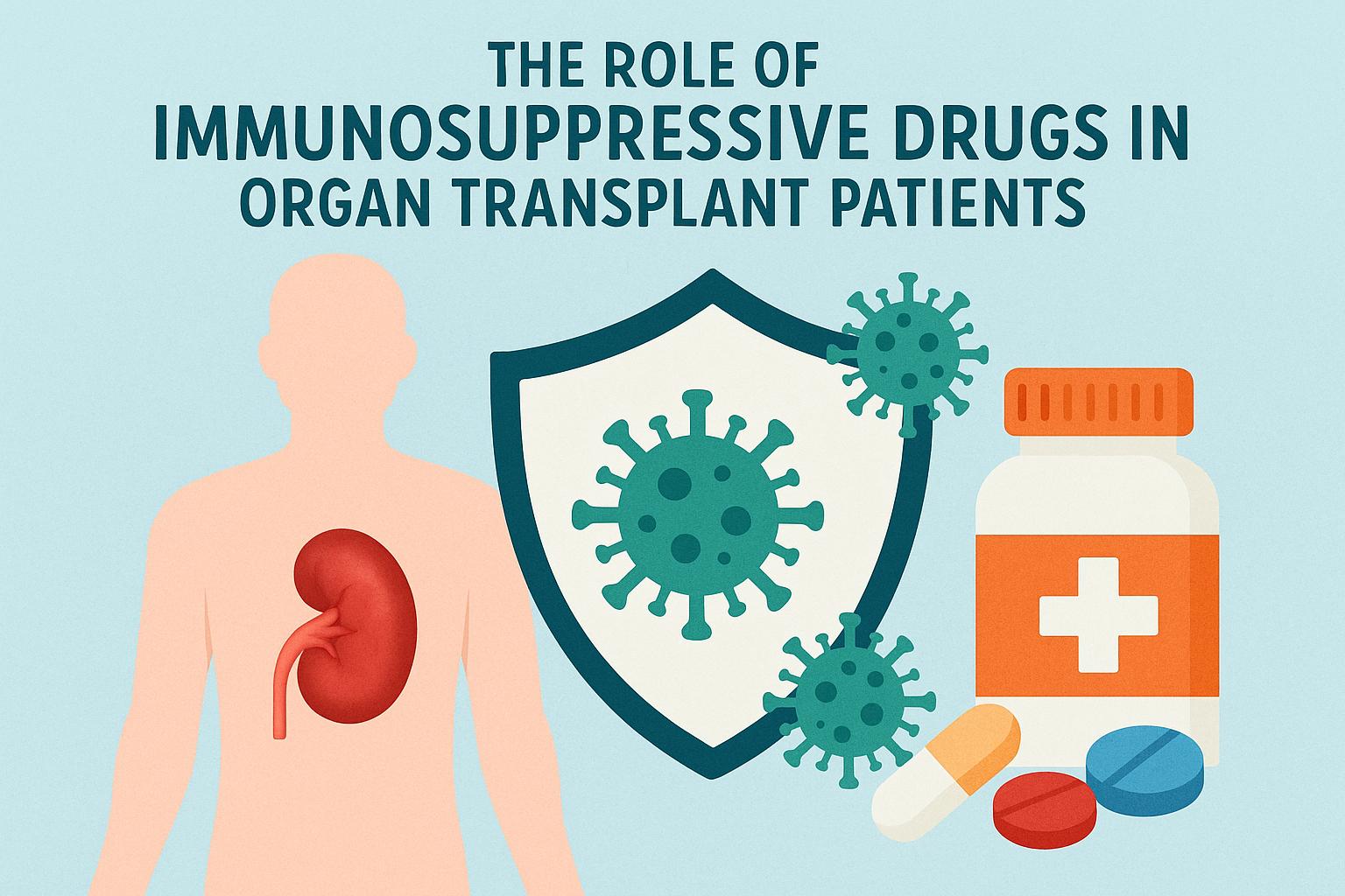 The role of immunosuppressive drugs in organ transplant patients.